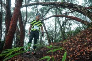 BIB: 
                            <button type="button" onclick="openModal(26343945)" class="btn btn-primary btn-sm float-right btn-popup" data-toggle="modal" data-target=".modal-high-quality">
                        <i class="fas fa-shopping-cart"></i> Add to Cart
                    </button>
                                            <button type="button" onclick="isThisMe(26343945, true)" class="btn btn-success btn-sm float-right btn-popup btn-isme hidden" data-toggle="tooltip" data-placement="bottom" title="นี่คือรูปของคุณใช่ไหม คลิกที่นี่เพื่อเอาเข้าอัลบั้ม">
                        <i class="fas fa-plus"></i> Add to album
                    </button>
                    <button type="button" onclick="isThisMe(26343945, false)" class="btn btn-warning btn-sm float-right btn-popup btn-isnotme hidden">
                        <i class="fas fa-ban"></i> Remove from album
                    </button>